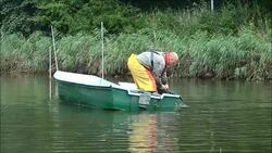 CLEAN : Dutch fishermen gives vanishing eels new l News Clip