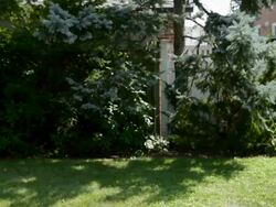 Man mowing grass with lawnmower Stock Footage