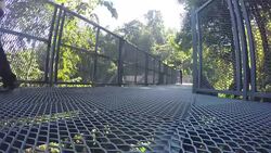 Visitors walk on the Canopy Walkway Stock Footage