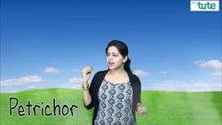 The Science Behind the Fragrance of the First Rain: Petrichor Explained Instructional Video