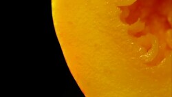 CU Mango slowly rotating with black background Healthy lifestyle Stock Footage