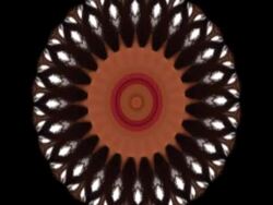 Earth Tones Stock Footage