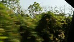 Forests and a river in Cuc Phuong National Park News Clip