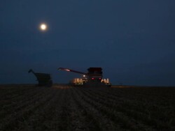 Combine Harvesting Last Rows of Corn for the Season Stock Footage