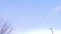 VOICED : France seeks ways to come in from the cricket cold News Clip