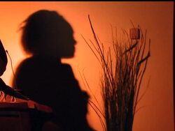 A recent CDC study found that half of black women, between the ages of 14 and 49, are infected with genital herpes. It's not a fatal illness and the rate has been consistent for a decade, so why is the CDC trying to combat the illness? News Clip