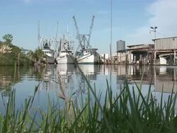 Medium Shot Low Angle - Grass at water's edge and docked boats / New Orleans Louisiana Stock Footage