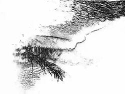 Eye of The Boy Stock Footage