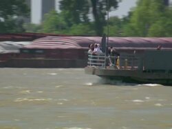 WS POV View of dirt road in between trees / New Orleans, Louisiana, United States Stock Footage