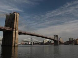 Brooklyn Bridge with seagulls Stock Footage