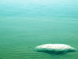 Salt - dead sea Stock Footage