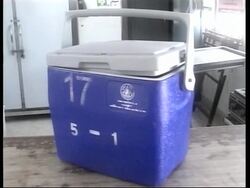 Probe into fears cattle have bird flu News Clip