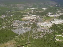 WS AERIAL View over Old Faithful surrounded by dense forest / Wyoming, United States Stock Footage