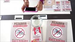 CLEAN : Colombian city fights against Zika mosquito News Clip