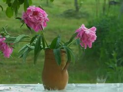 rainy weather Stock Footage