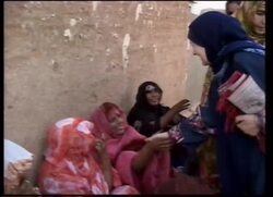 RR0315/B  Mauritania: Desertifcation News Clip