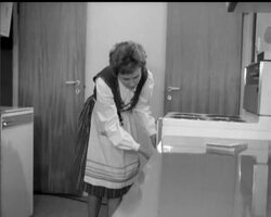 THE FLEXI-HOUSE News Clip