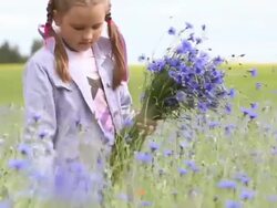 Little girl picking flowers Stock Footage