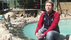 VOICED : African penguins in peril as race for climate deal quickens News Clip