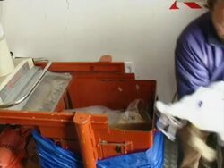 Man putting waste into a machine. Filmed at the British Antarctic Survey's Halley Research Station, on the Brunt Ice Shelf on the Weddell Sea, Antarctica. (NTSC PAL 4x3 Anamorphic; H264 MPEG4 16x9 Square) Audio available on masters. Stock Footage