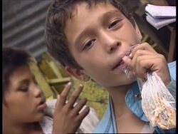 SALVADOR : OUTRAGE AT RECENT SPATE OF STREET CHILDREN DEATHS News Clip