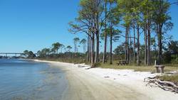 Early European Settlement of North America (Story Time with Mr. Beat) Instructional Video