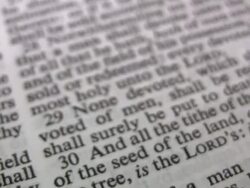 HD 1080i Numbers Stock Footage