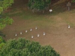 MS AERIAL Shot of cemetery / Georgia, United States Stock Footage