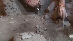 Cave continues to give up secrets 50 years on News Clip