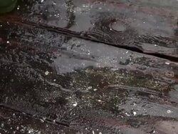 Oyster Farmers Begin To Wind Down Operations After Feds End Nat'l Seashore Lease Stock Footage