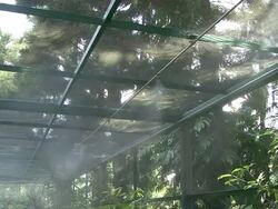 Greenhouse Irrigation Stock Footage