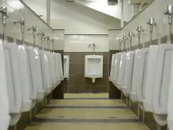 turn off-turn on the light in the toilet. Stock Footage