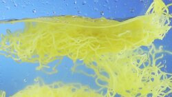 Spaghetti Splashing Into Water Stock Footage