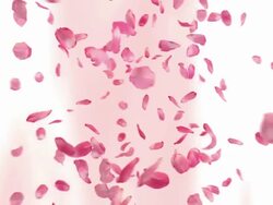 Flying Rose Petals (Loopable) Stock Footage
