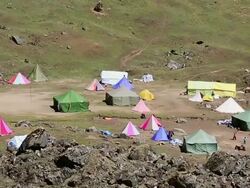 MS Camp of sex herb collectors / Durma, Banke District, Nepal Stock Footage