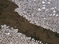 MS of cold winter stream flowing under ice crust / Moscow, Russia Stock Footage