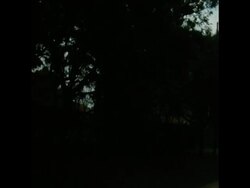 SYND 6-9-72 DUTCH FACTORY MANAGER KIDNAPPED News Clip