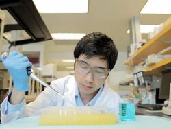 MS Male technician with micro-pipette at research center / Vancouver, BC, Canada Stock Footage