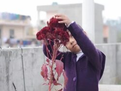 Little Girl Caring plant Stock Footage