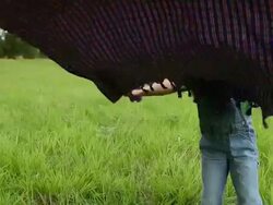 Boy shaking out a blanket in a field Stock Footage