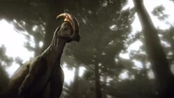 Two Parasaurolophus dinosaurs clash and emit infrasound waves. Stock Footage