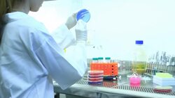 Preparing a Petri Dish Stock Footage