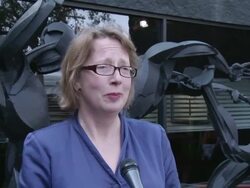 INTERVIEW - Sophie Dickens on what it means to her to be included at De Re Gallery Opens Its Doors Stock Footage