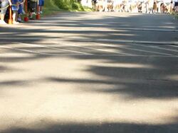 Runner's Legs and Feet Approaching on Pavement Stock Footage