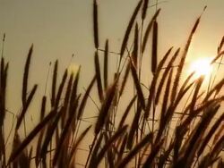 Sunrise or sunset over mountain. Stock Footage