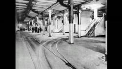 Dan Barasch: A park underneath the hustle and bustle of New York City Instructional Video