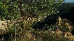 Mountains. Caucasus. Stock Footage