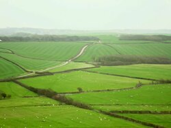 WS Shot of sheep grazing grass at Rolling hills and cloudy sky / Bovey, England, United Kingdom Stock Footage