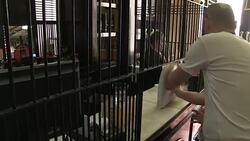 CLEAN : Cuba offers rum to pay debt to Czech Republic News Clip