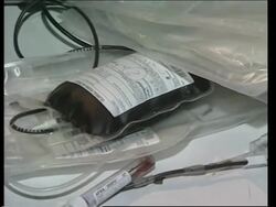 Americans donate blood during peace mission News Clip